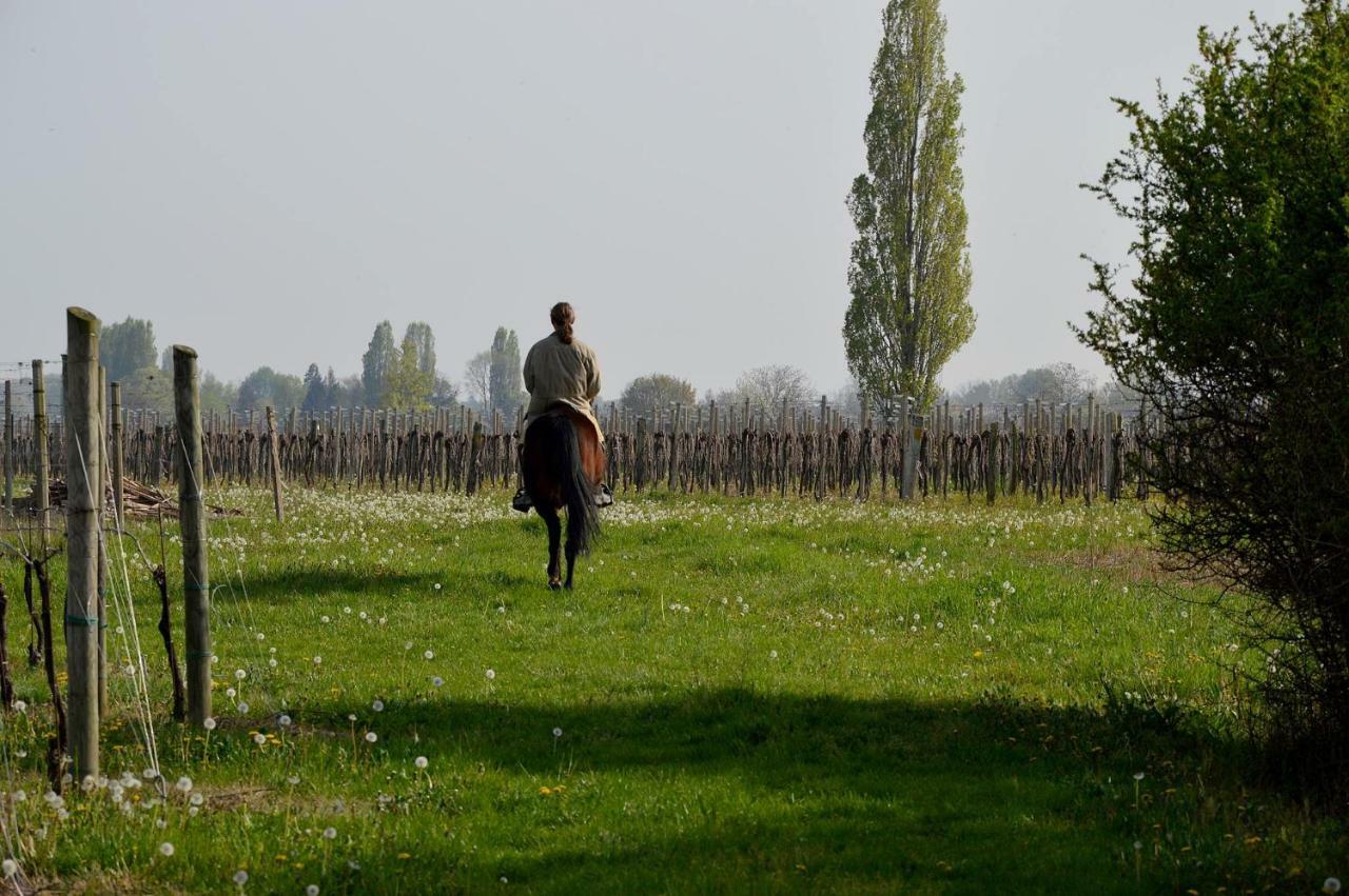 Societa Agricola La Staccionata Villa Staranzano Bagian luar foto